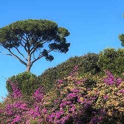 Above the People's Plaza
