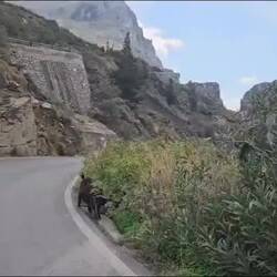 Fahrt durch den Canyon