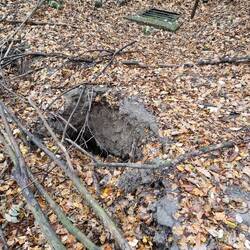 Oder dann klaffen plötzlich tiefe Löcher im Wald.