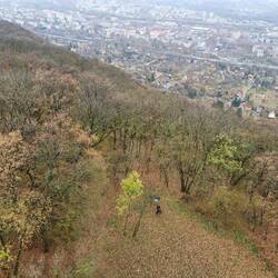 Da unten warten die zwei auf ihre Chefin.