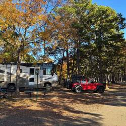 Campsite 50