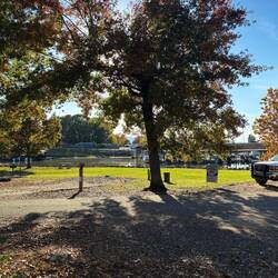 Camp is across a cove from the marina