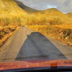 Ein-Ohr-Caddy im Mittaglicht