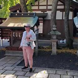 Shrines dedicated to various deities.