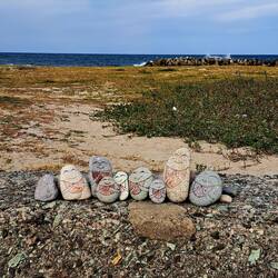 Someone left this to provide a smile. Mission accomplished. 😊