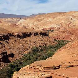 Fruchtbare Oasen mit Dattelpalmen