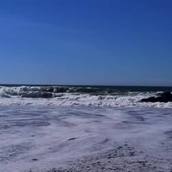 Wackler kommt von Wasser Flucht🤣