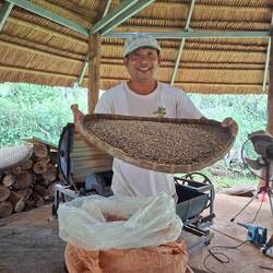 Coffee Beans unroasted