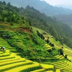 Riisfäuder🌱🌱🌱🌱