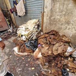 Not sure but left lying in thr street