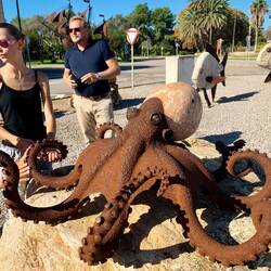 Eine Ansammlung toller Meerestiere vor dem kleinen Hafen
