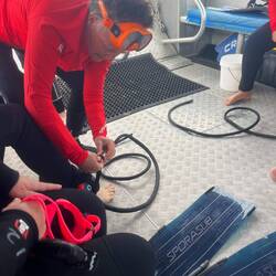 Shark Shields als Schutz