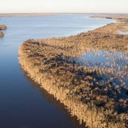Another borrowed image of Lake Wimico
