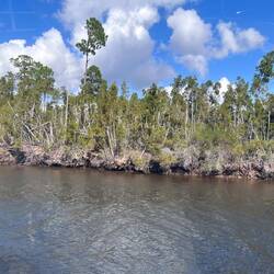 This damage was caused by a Force 5 hurricane