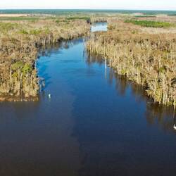 Aerial view from Lake Wimico, looking back west.