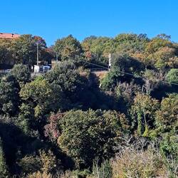 Il moai visto da Vitorchiano