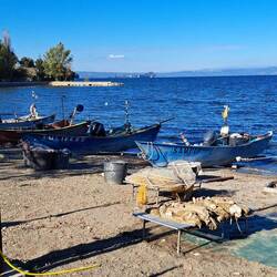 Escono a pesca "Sampei" e "Lucifero"😂🤣😂