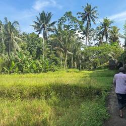 Follow the man. Amanda's temple guide.