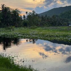 Evening by the lake.