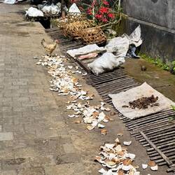 Drying the coconut.