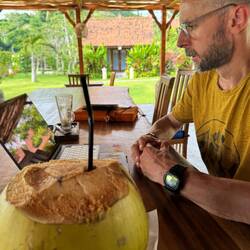 Two coconuts. One is trying to do some planning.