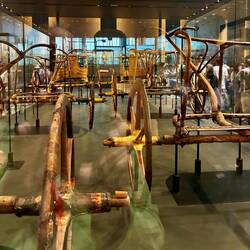 Chariots that were in pieces and stacked in the tomb, now assembled.