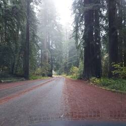 Bin schon mal den Scenic Parkway gefahren, aber nicht ausgestiegen.