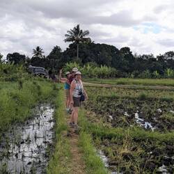 The narrow path through the paddies
