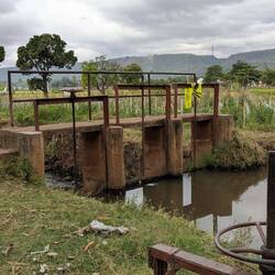 A dam on the Mosquito River in the rice fields