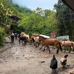Nochmal ein Schauer am Abend