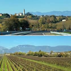 Weinberge im Veneto