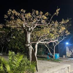 ..wir haben es so schön, aber nun erst mal zur Fahrt hierhin..👉🏻