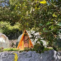 Unser Haus, daneben ein riesiger Avocado aus, voll mit Früchten