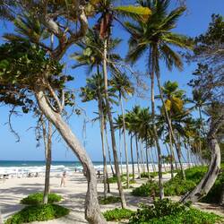 Der Weg ist das Ziel - Vom Playa el Agua zum Playa Parguito