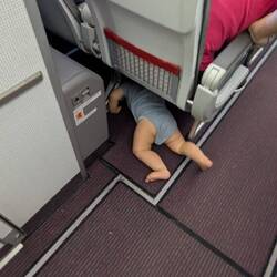 Krabbelbert ist neugierig