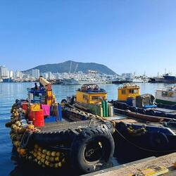 Walking along the fish market piers.