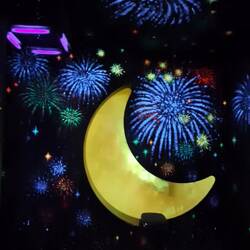 A video of the full fluorescent room.