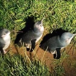 Onderweg net in het licht van een lamp