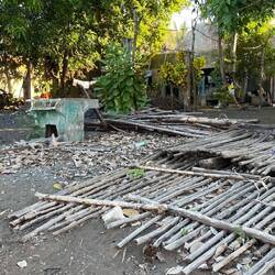 So sieht es leider auch aus