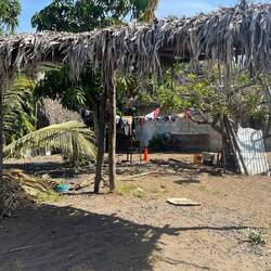 So sieht es leider auch aus