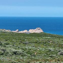 Sugarloaf Rock