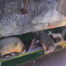 Wie nennt man das? 🤣