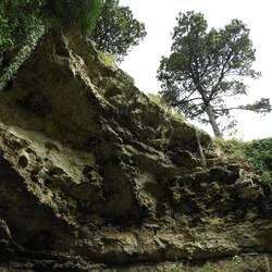 Inside sink hole looking out