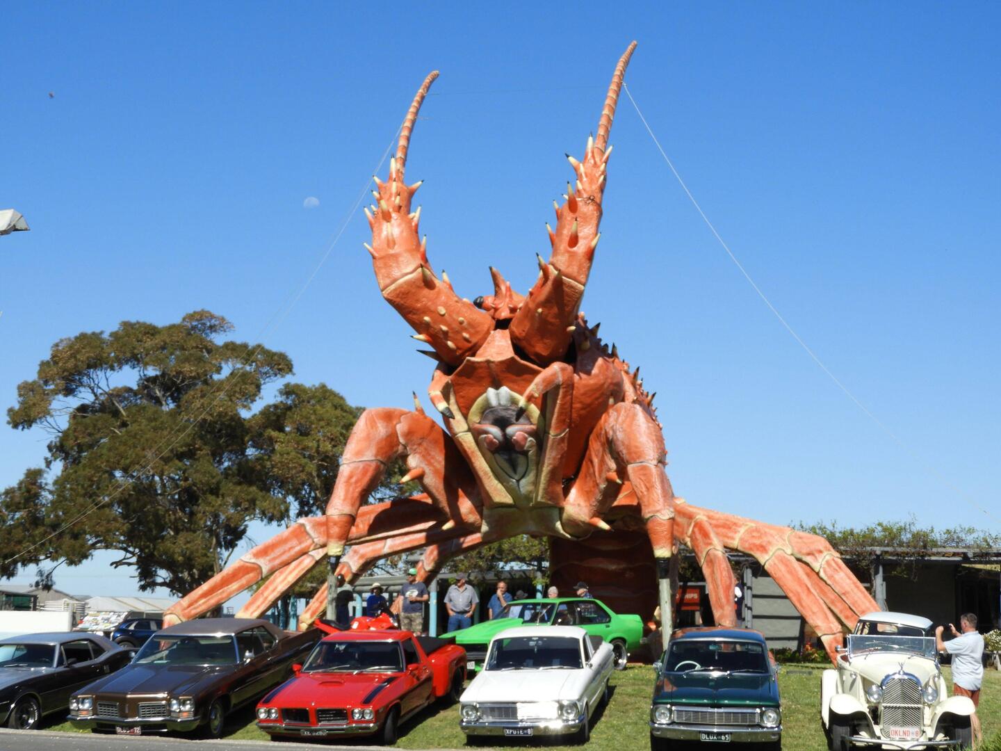 Larry the Lobster (+ classic cars?!?)