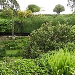 Umpherston sink-hole garden