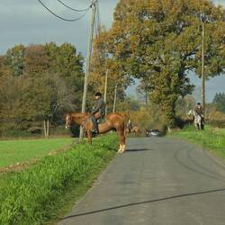 Hier ist wohl Fuchsjagd?