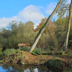 La Fontaine (Wir sind doch nicht etwa im Saarland angekommen?)