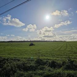 Sonntag macht der Bauer nichts☺️