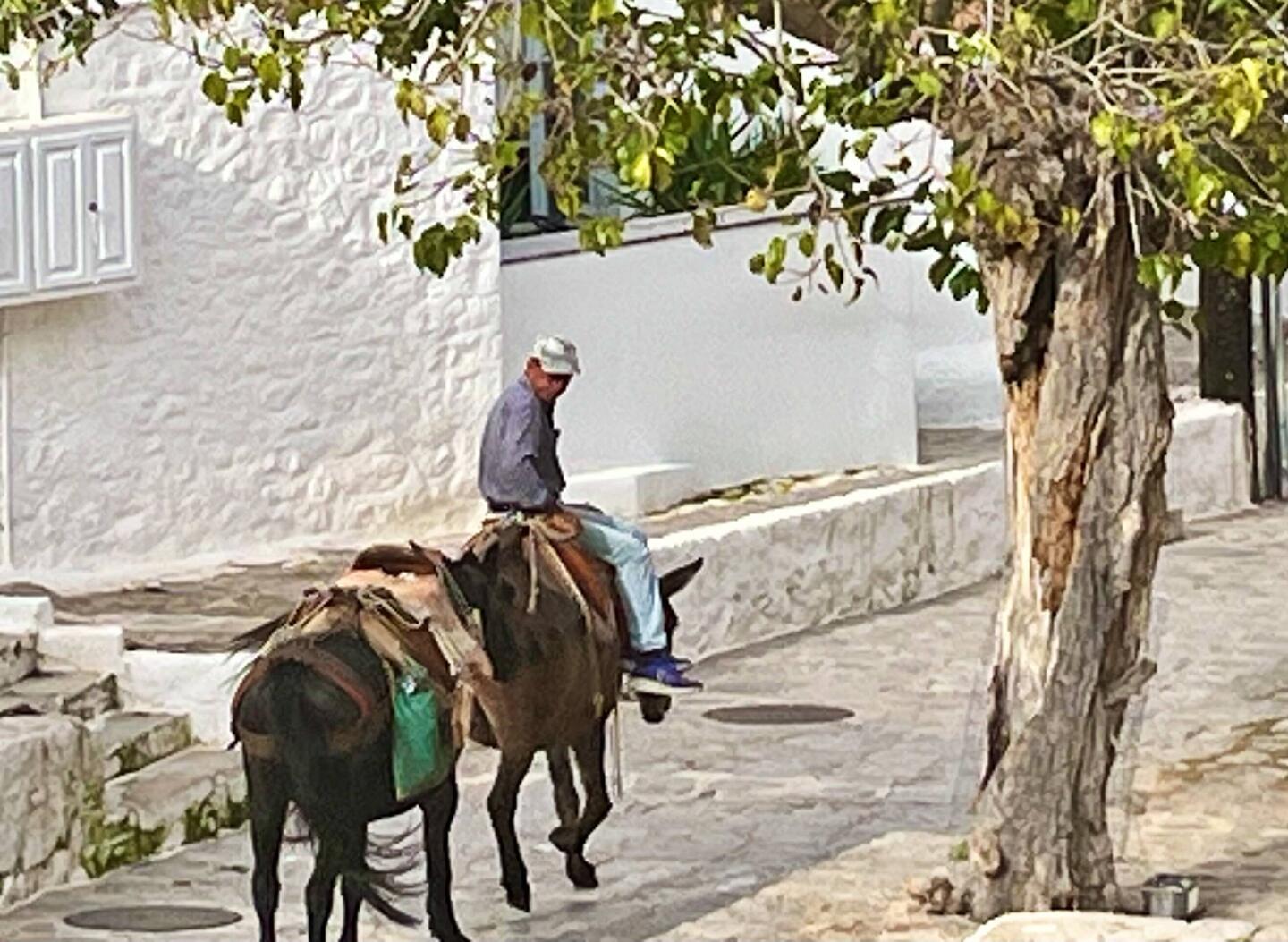 View down from balcony