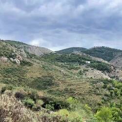 View from halfway up the hill, after the second lot of rain
